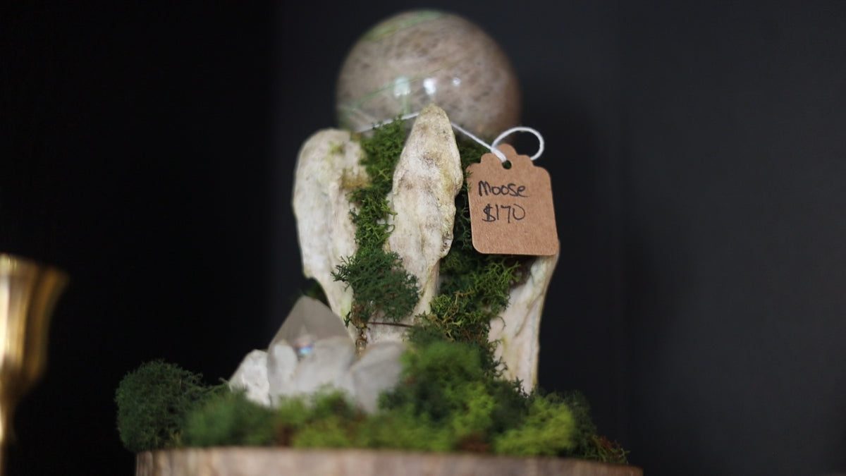 A decorative mossy stone arrangement with a round textured top, a small hanging paper tag reading 'Moss $17.00', and green moss accents against a dark background. moose bones, bones, witchy decor